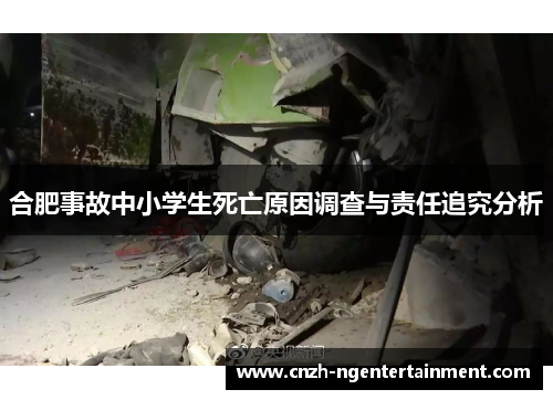 合肥事故中小学生死亡原因调查与责任追究分析