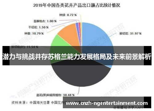 潜力与挑战并存苏格兰能力发展格局及未来前景解析