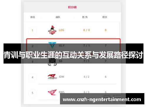 青训与职业生涯的互动关系与发展路径探讨