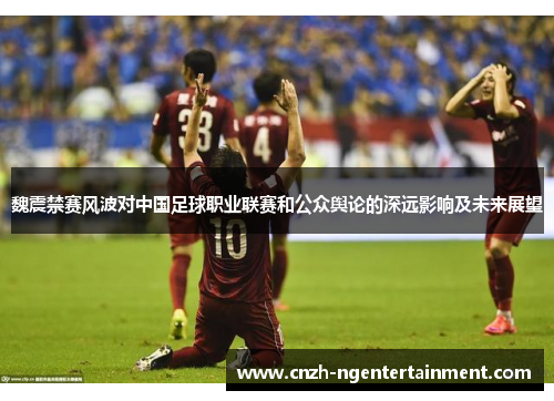 魏震禁赛风波对中国足球职业联赛和公众舆论的深远影响及未来展望