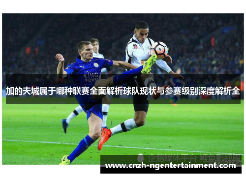 加的夫城属于哪种联赛全面解析球队现状与参赛级别深度解析全 加的夫城属于哪种联赛全面解析球队现状与参赛级别深度解析全